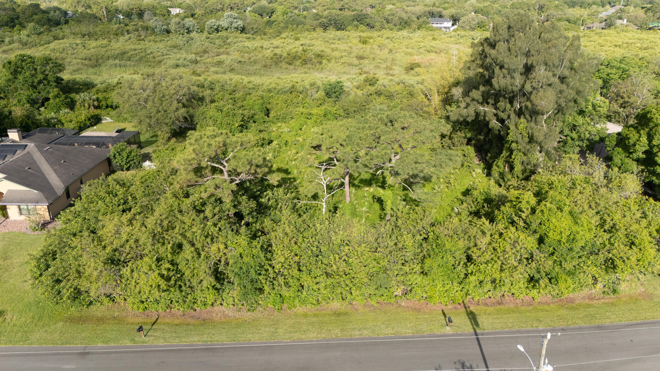 4179 Sparrow Hawk Road Melbourne, FL 32934 - Photo 1 of 26 a view of a yard with plants