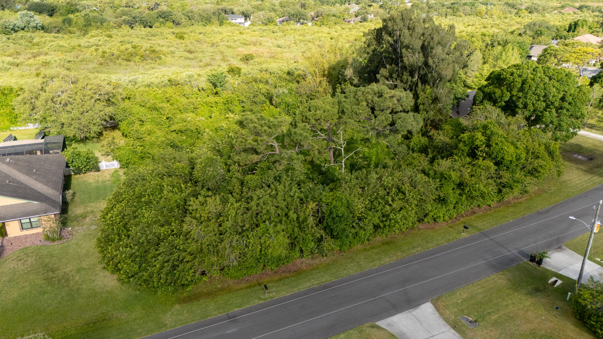 4179 Sparrow Hawk Road Melbourne, FL 32934 - Photo 3 of 26 a view of a yard with a tree