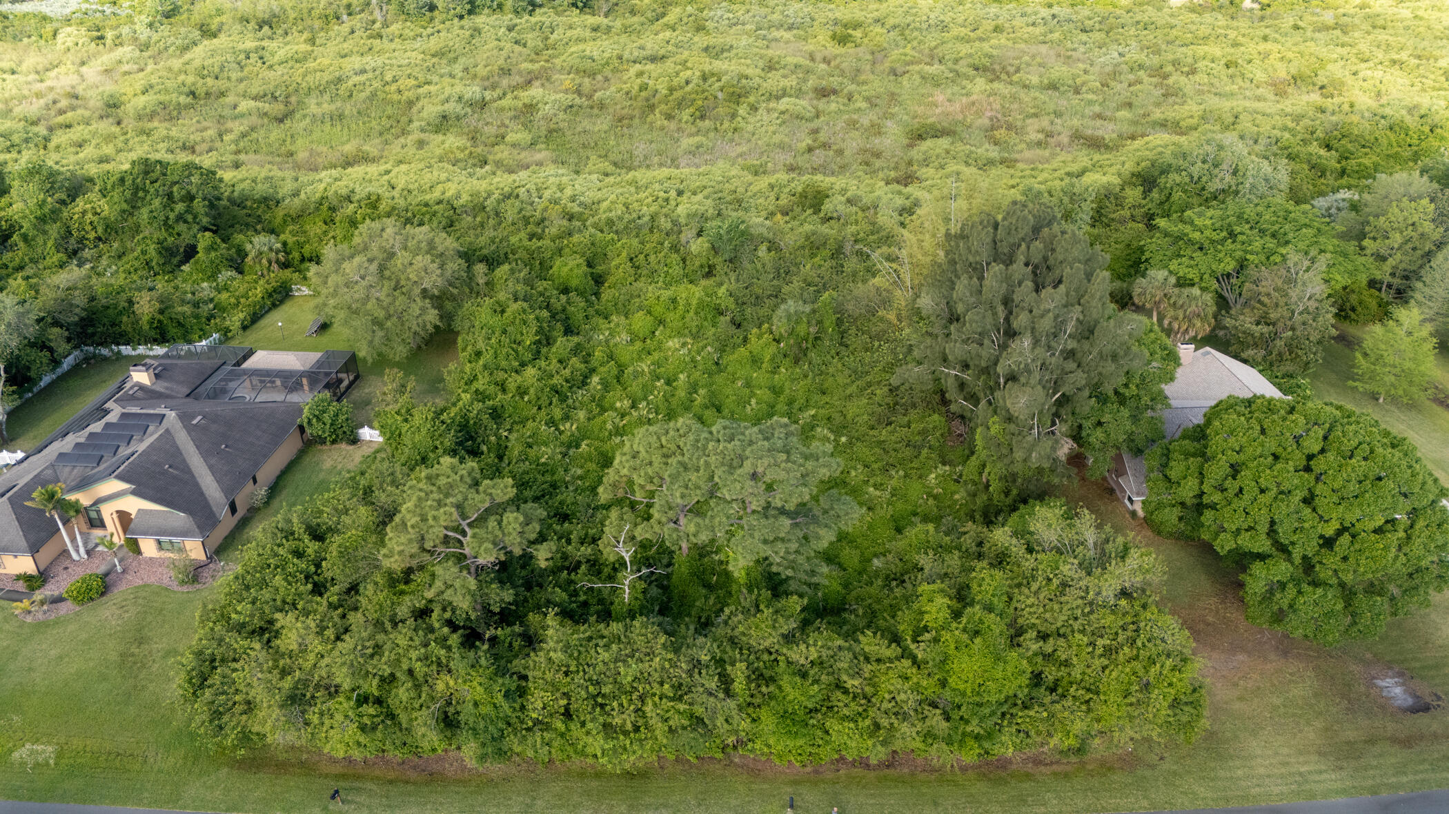 4179 Sparrow Hawk Road Melbourne, FL 32934 - Photo 5 of 26 a view of a yard