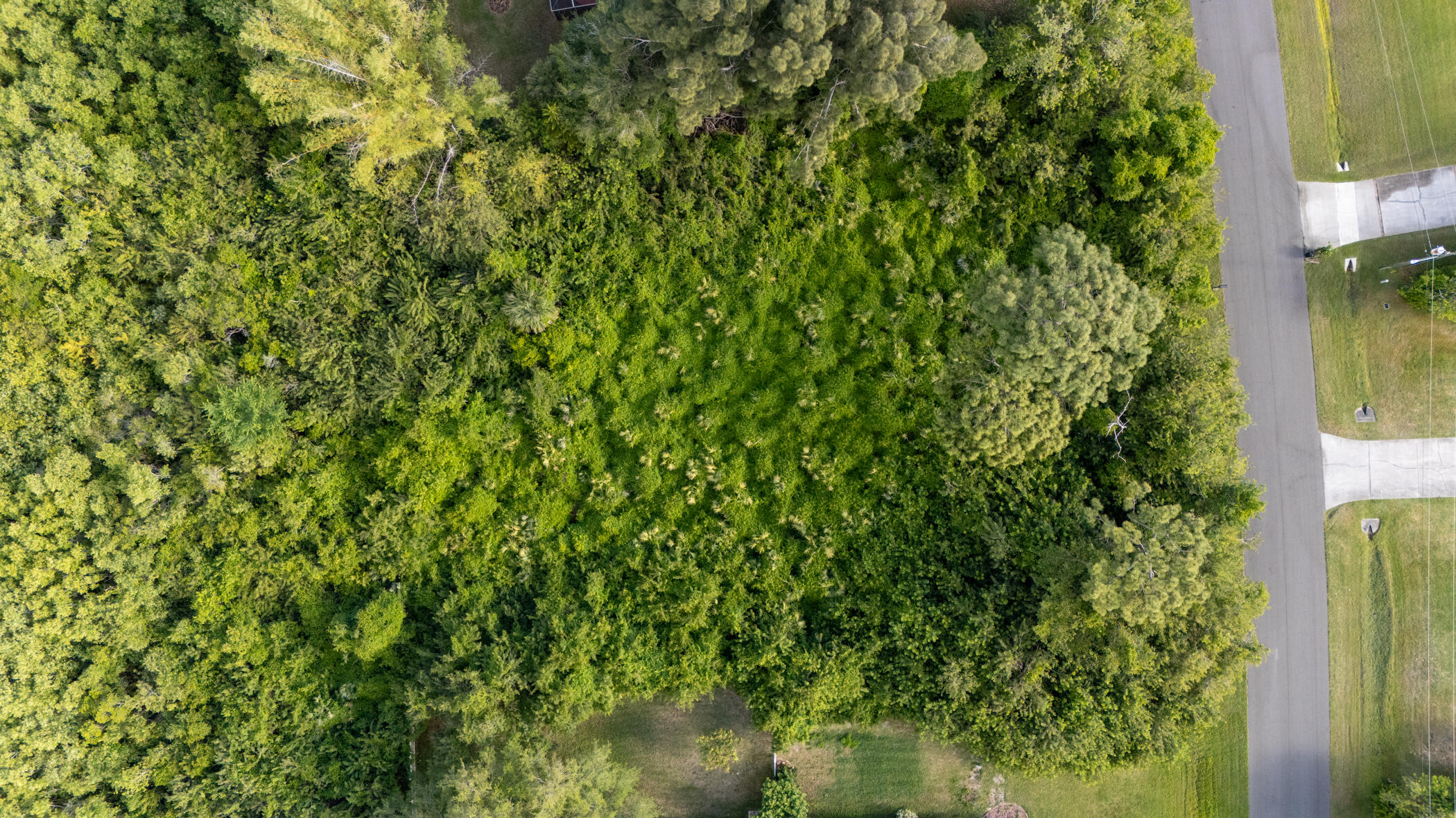 4179 Sparrow Hawk Road Melbourne, FL 32934 - Photo 9 of 26 a view of a garden