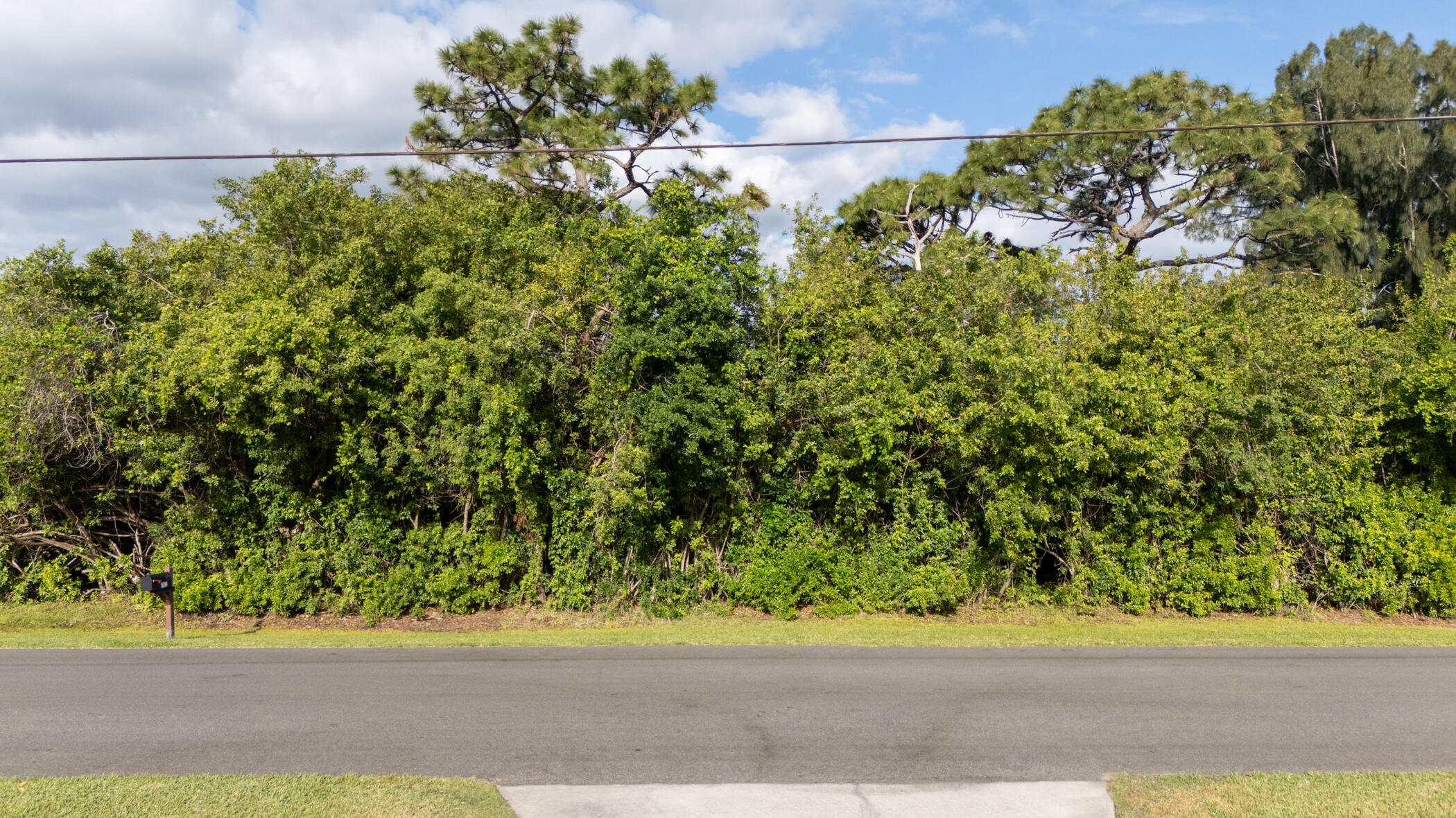 4179 Sparrow Hawk Road Melbourne, FL 32934 - Photo 10 of 26 a plant that is sitting in the middle of a yard
