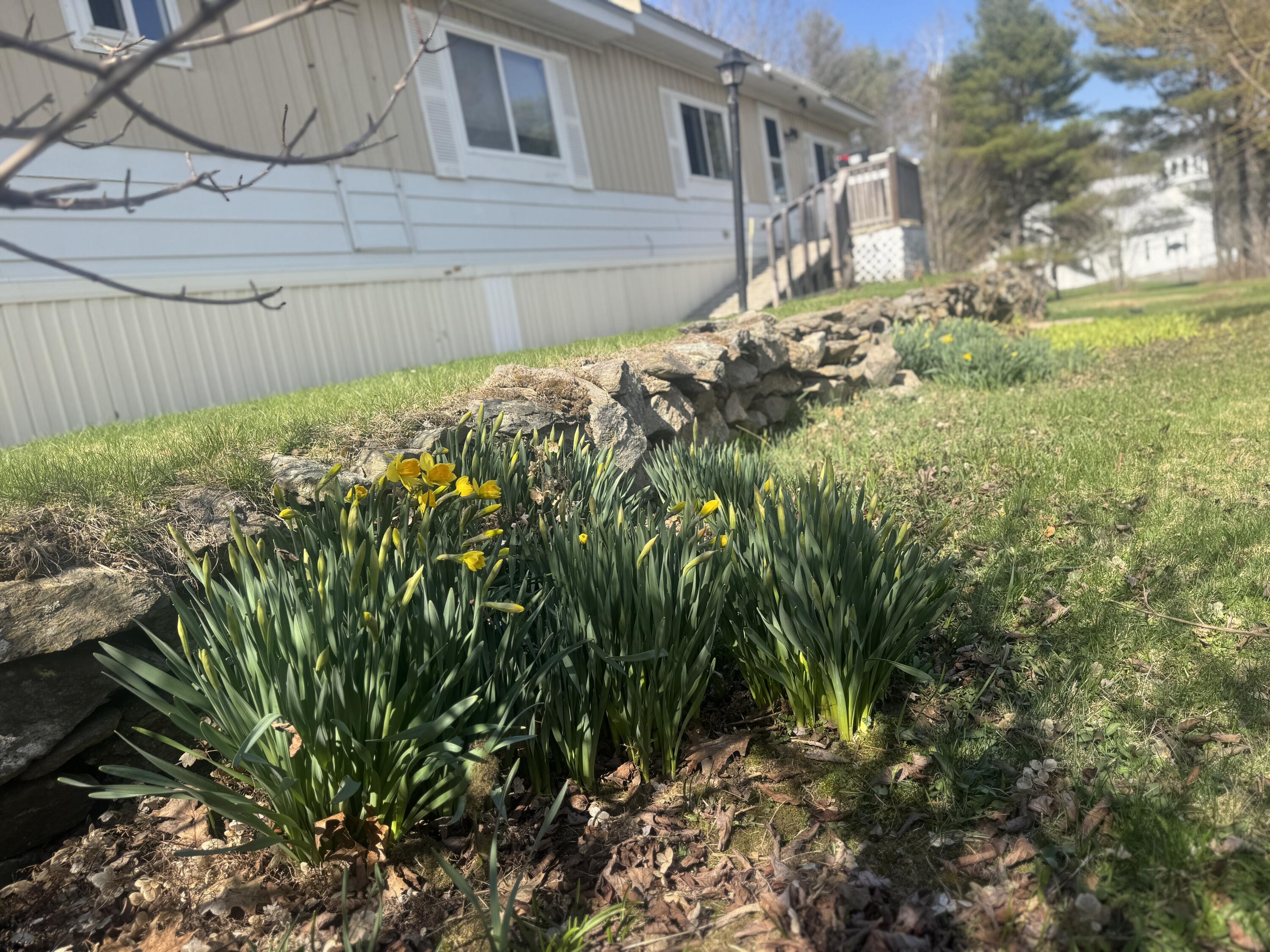 910 Rockland Road Somerville, ME 04348 - Photo 21 of 27 Easy to maintain gardens