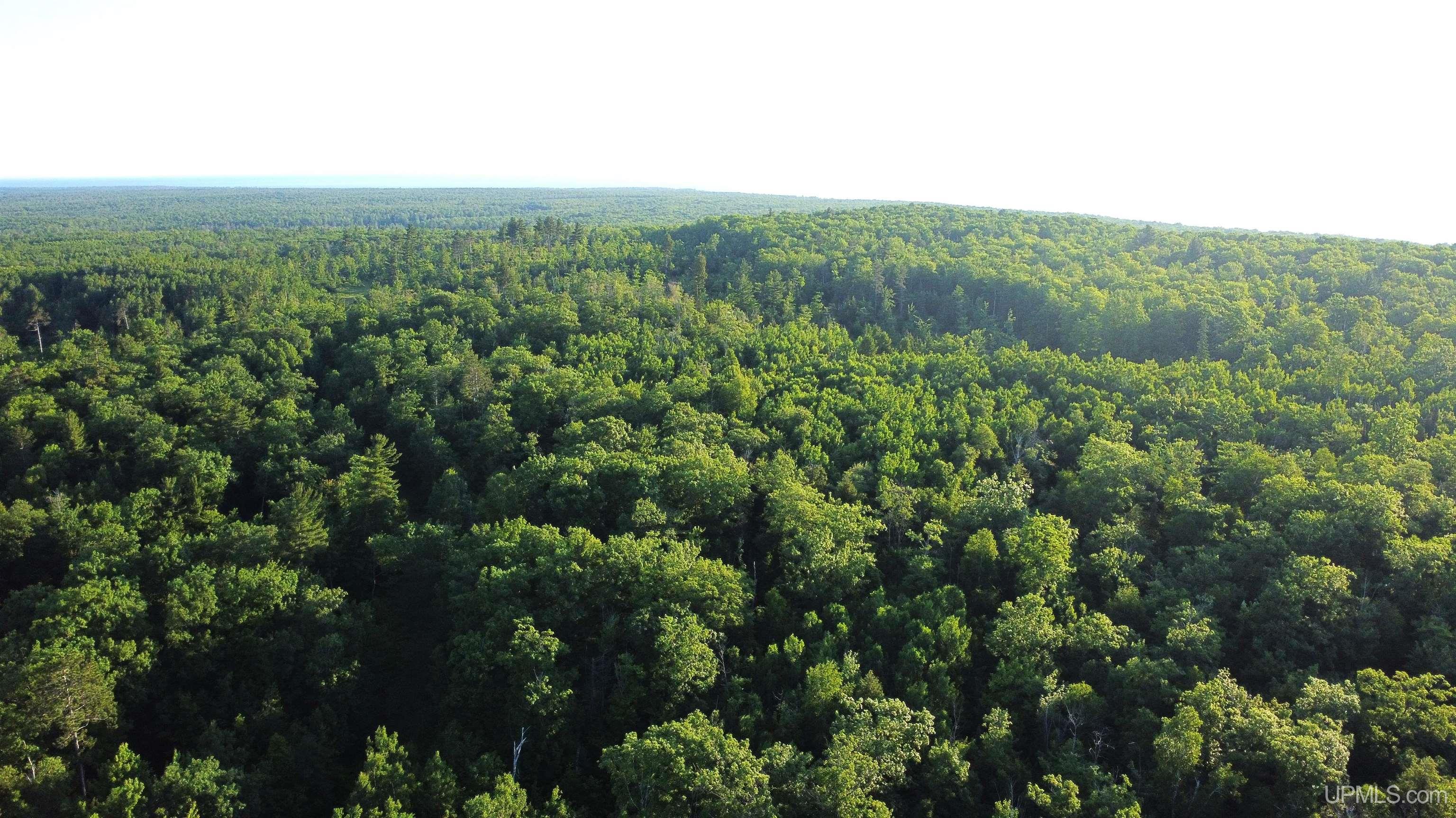 Off Brown Deer Road Marquette, MI 49855 - Photo 4 of 13