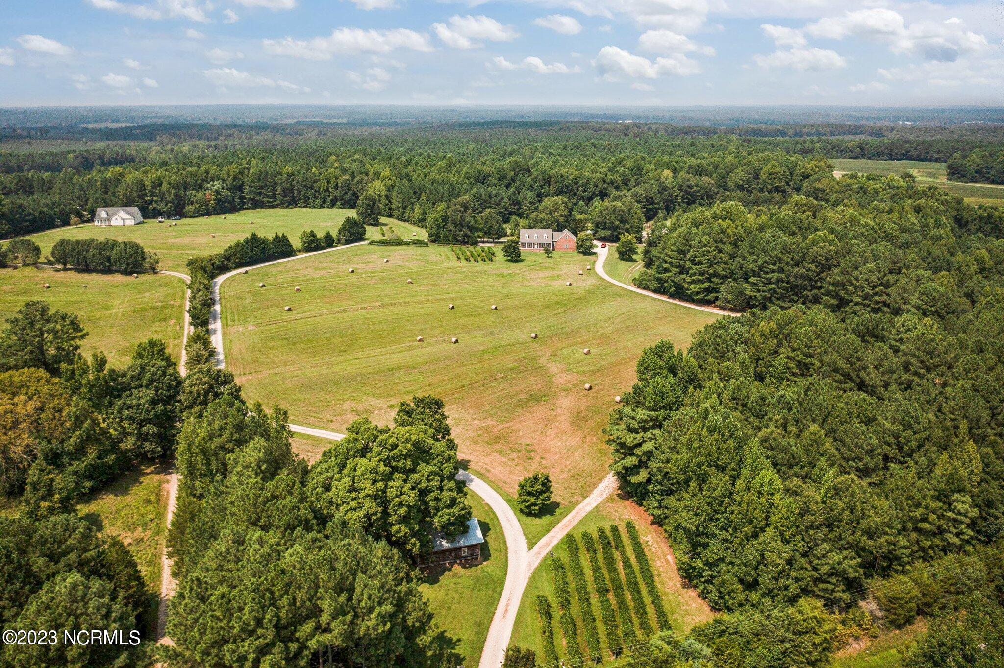 14490 Avent Road Whitakers, NC 27891 - Photo 67 of 70 68-web-or-mls-DJI_0031