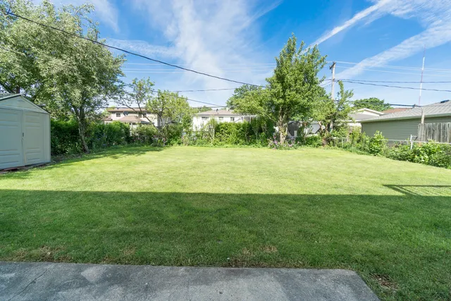 a view of a trees in a yard