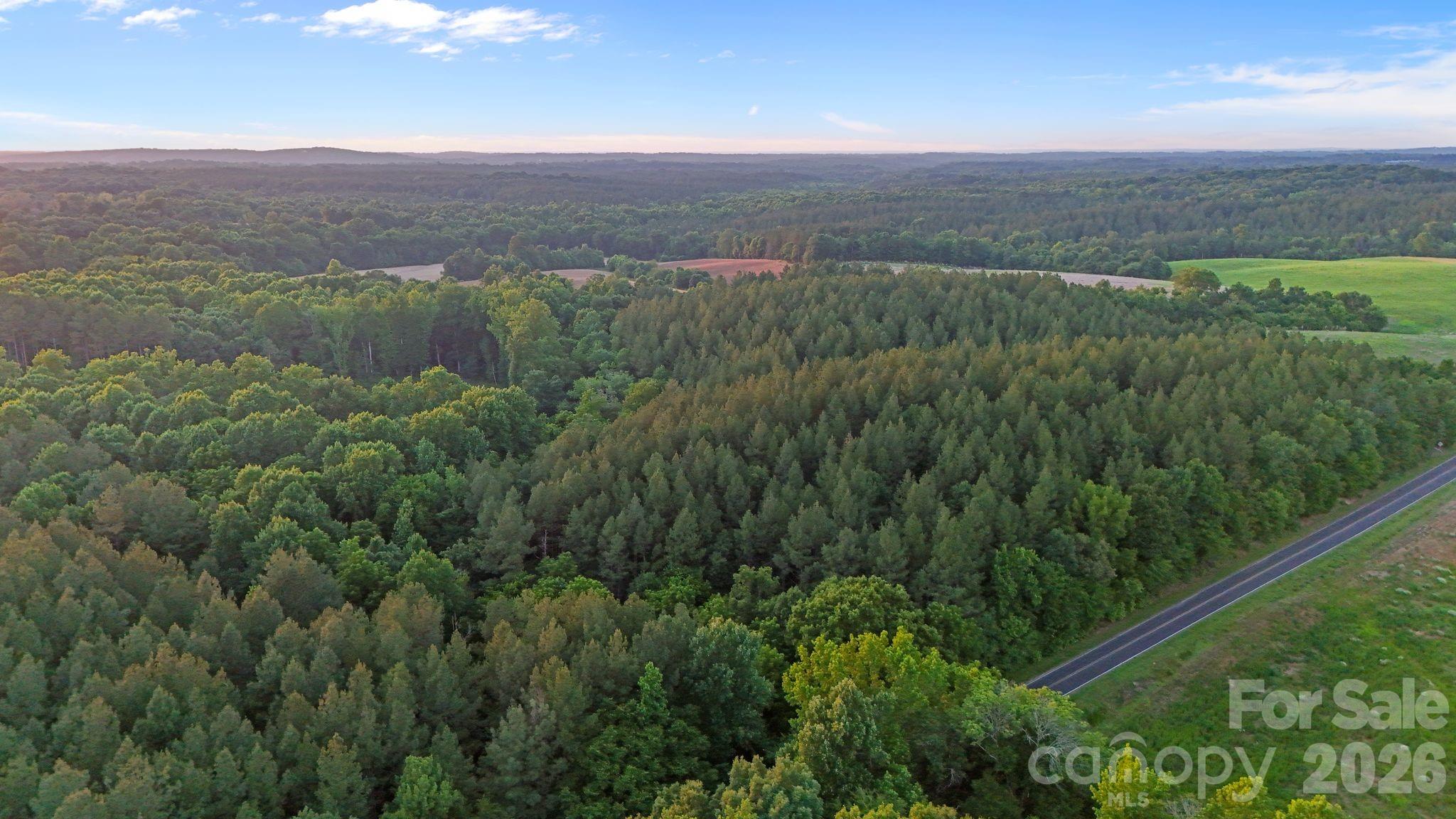 0 Lucy Short Cut Road, Unit 3 Marshville, NC 28103 - Photo 34 of 47