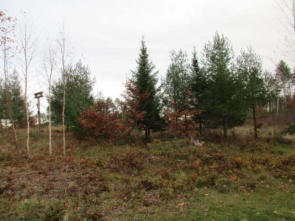 3728 Pine Square Road Tomahawk, WI 54487 - Photo 44 of 71 Gallery Image 44