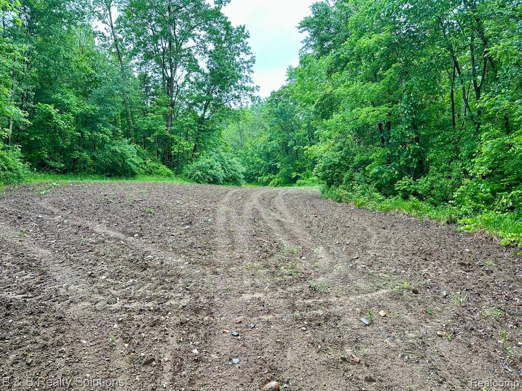 0 South Lake Pleasant Road Metamora, MI 48455 - Photo 2 of 32