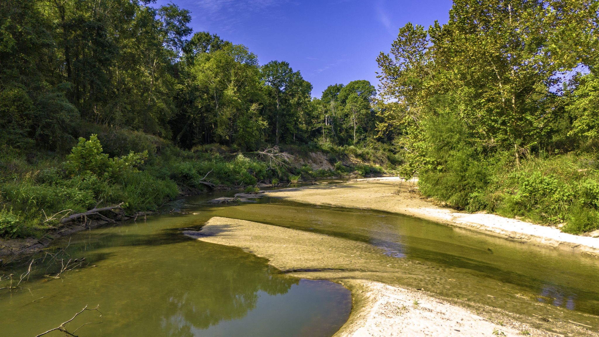 a view of swimming pool with an outdoor space