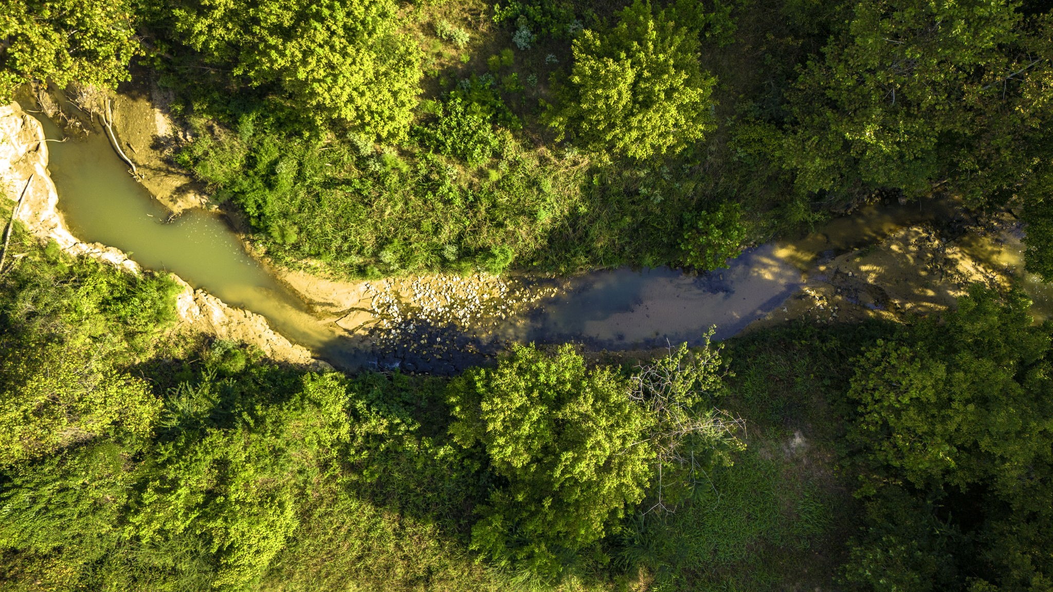 Tbd Garner Road Goodrich, TX 77335 - Photo 14 of 22 a view of a tree in a garden