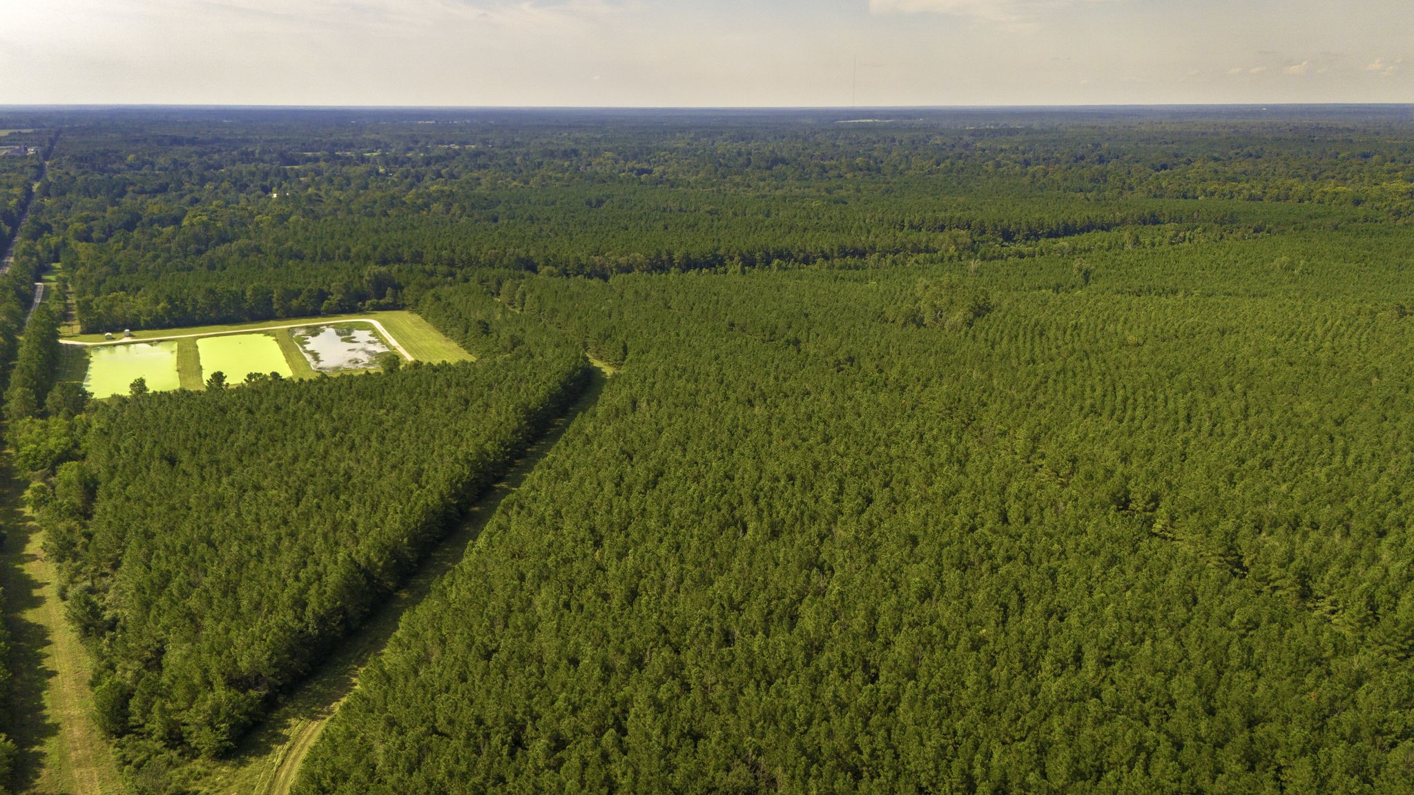 Tbd Garner Road Goodrich, TX 77335 - Photo 17 of 22 a view of an ocean from a balcony
