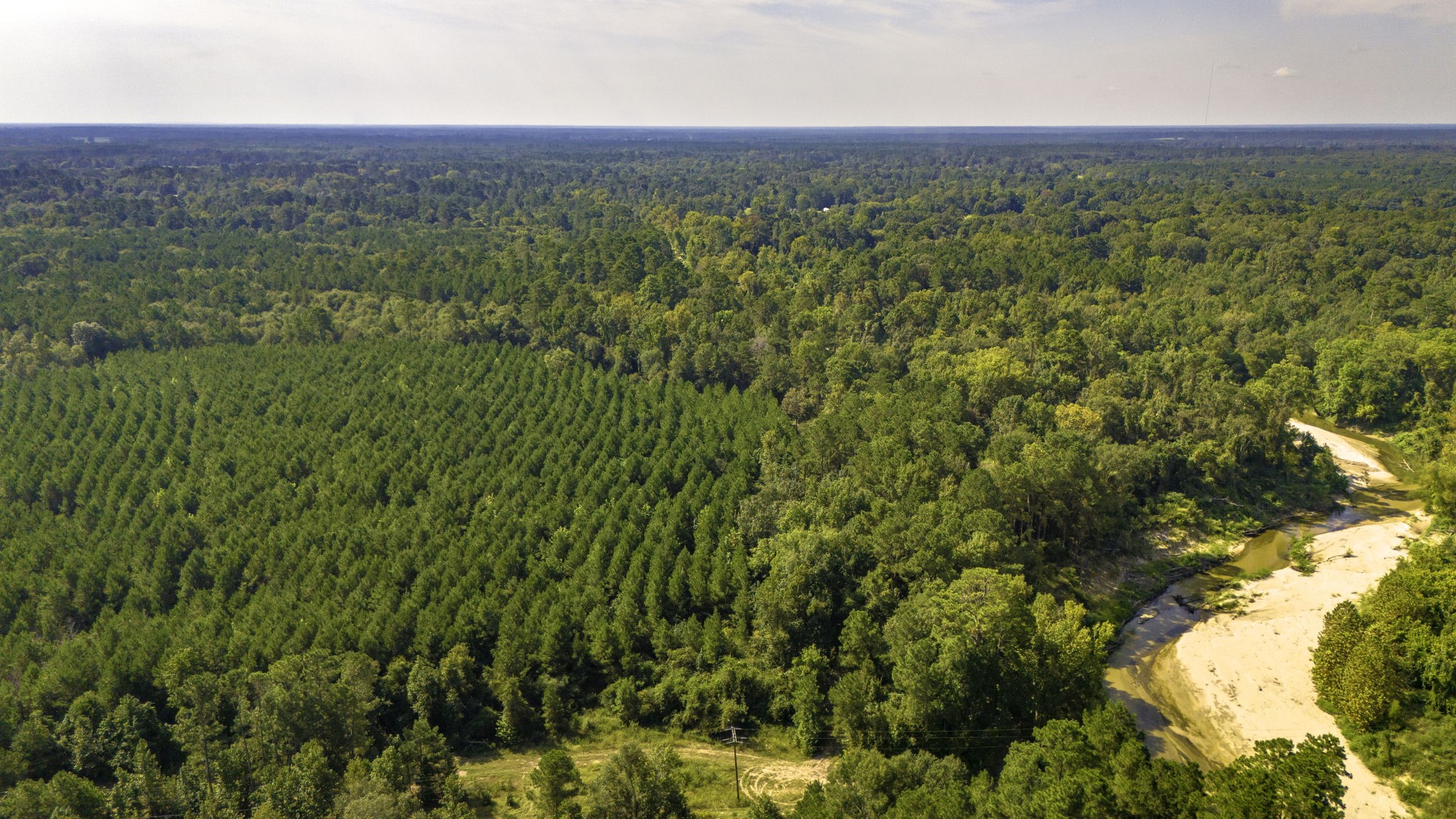 Tbd Garner Road Goodrich, TX 77335 - Photo 19 of 22 a view of a green field with lots of bushes
