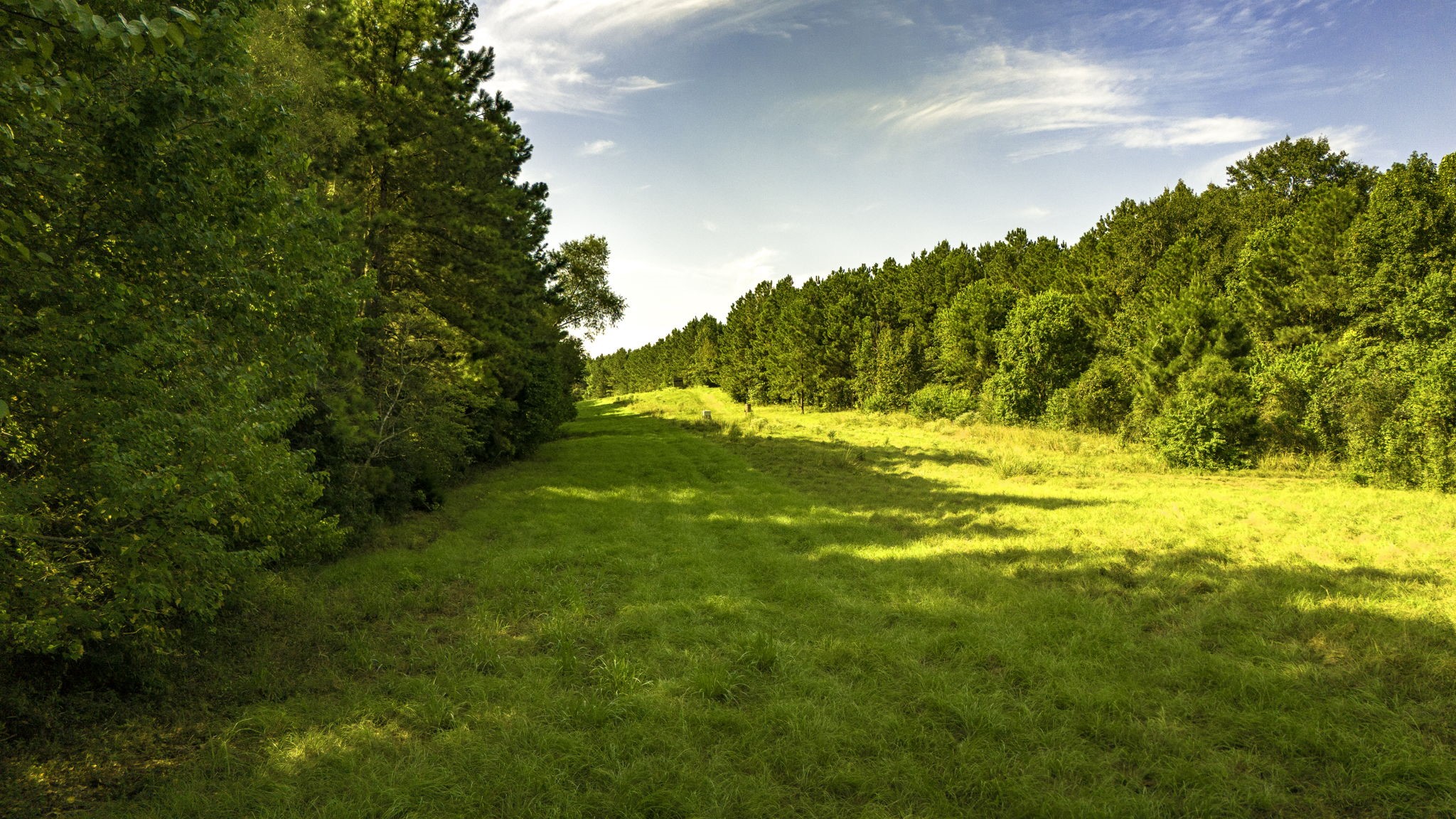Tbd Garner Road Goodrich, TX 77335 - Photo 7 of 22 a view of yard with swimming pool
