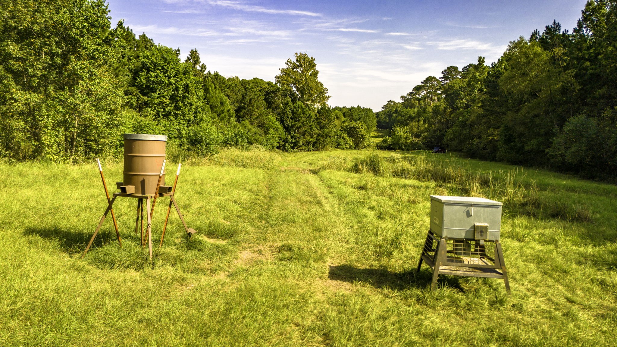 Tbd Garner Road Goodrich, TX 77335 - Photo 8 of 22 a view of swimming pool with a yard and large trees