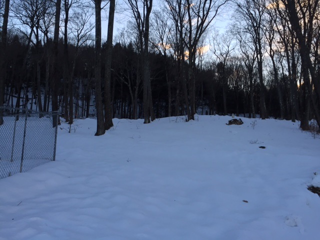 600 Gilfeather Road Wardsboro, VT 05355 - Photo 14 of 15 Gallery Image 14