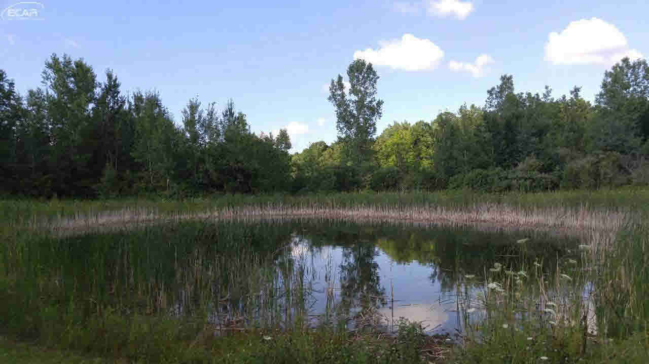 7094 Farrand Road Clio, MI 48420 - Photo 6 of 32 21198595-5.JPG