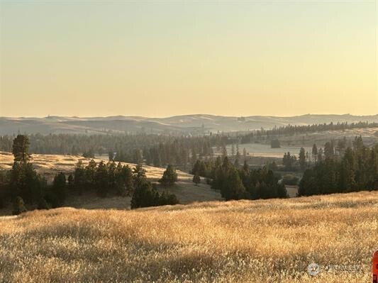 1 Main Street, Unit BLOCK Malden, WA 99149 - Photo 3 of 6 a view of a lake