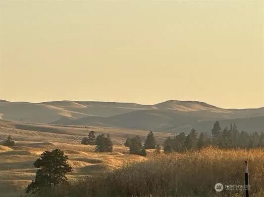a view of a town with mountains in the background