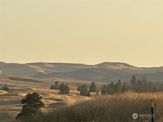1 Main Street, Unit BLOCK Malden, WA 99149 - Photo 6 of 6 a view of a town with mountains in the background