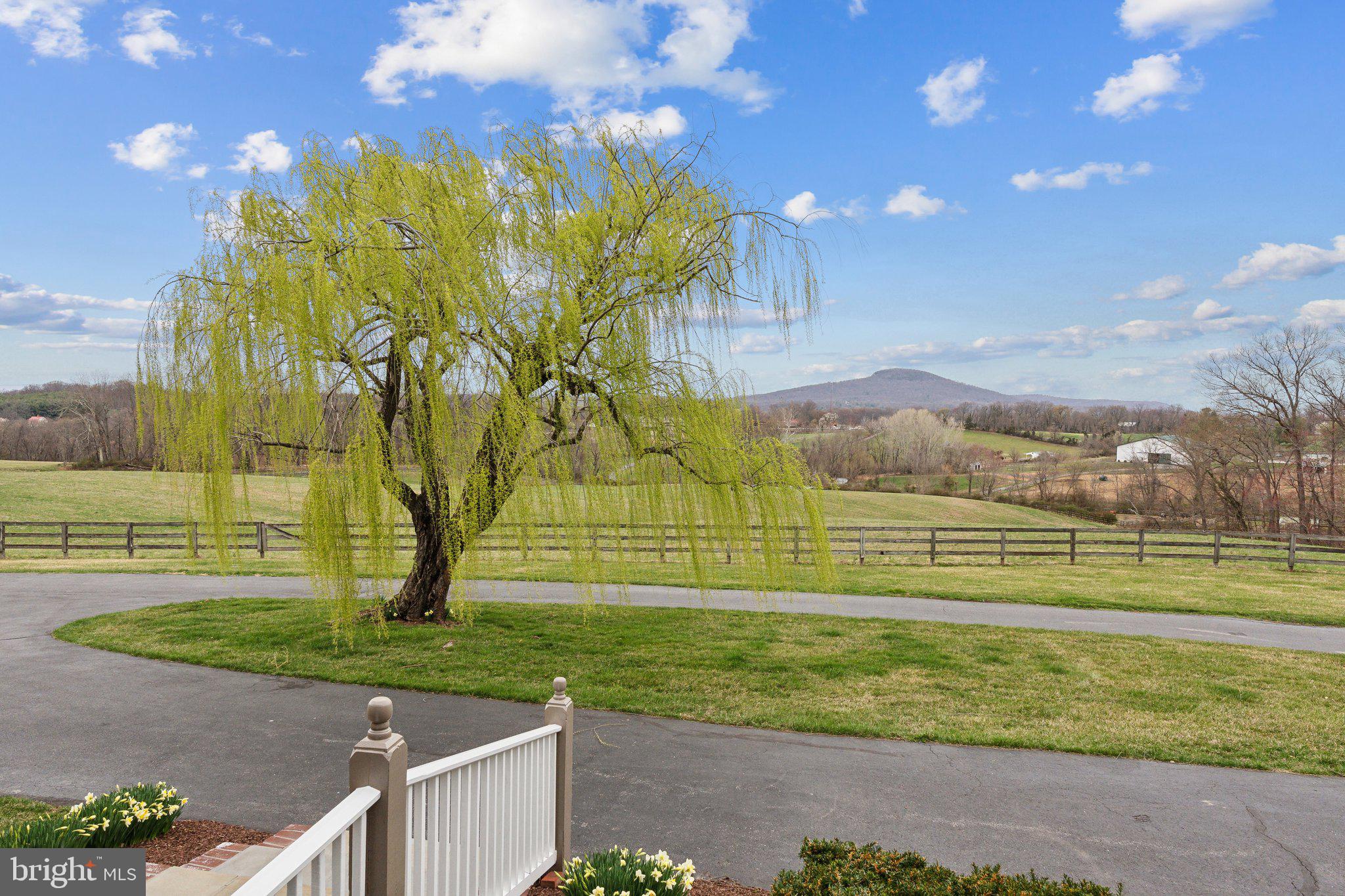 18600 Barnesville Road Barnesville, MD 20838 - Photo 4 of 108
