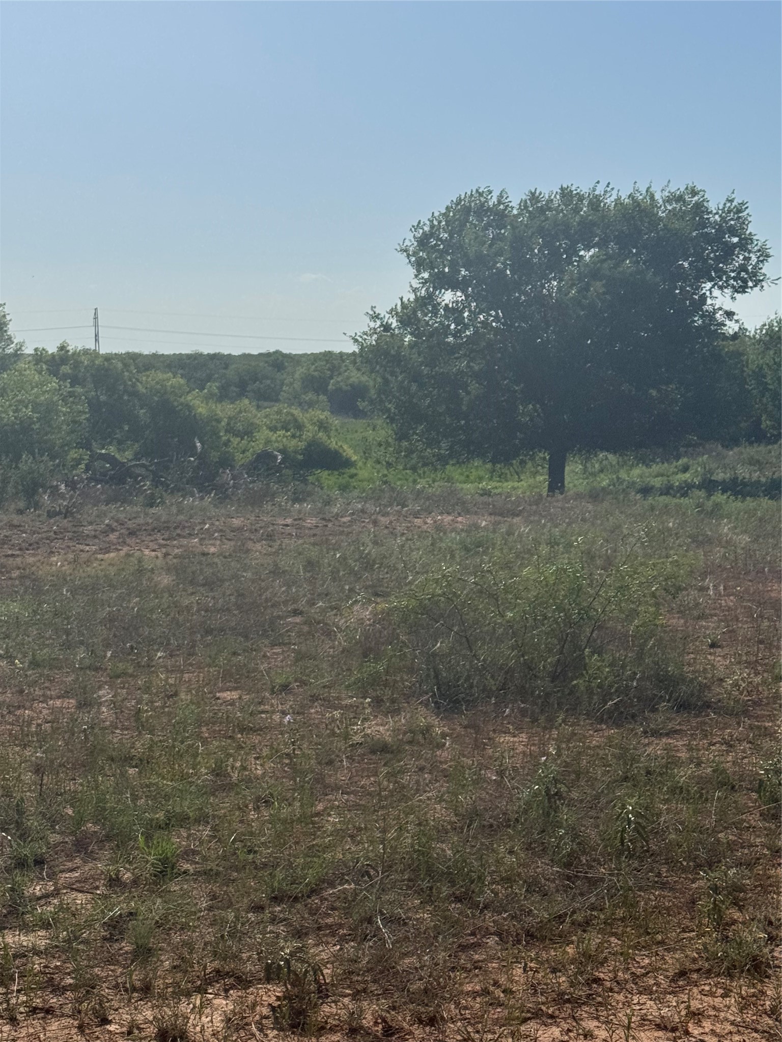Nka Buckle L Road Childress, TX 79201 - Photo 7 of 18