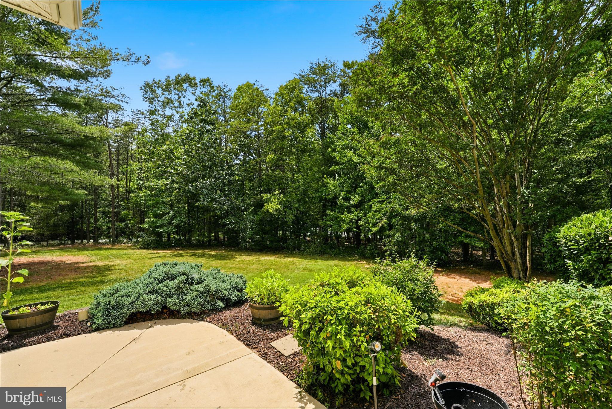 9133 Anchor Road Culpeper, VA 22701 - Photo 11 of 63