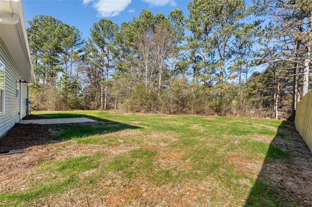 146 Old Brock Road Rockmart, GA 30153 - Photo 38 of 45 a view of a yard