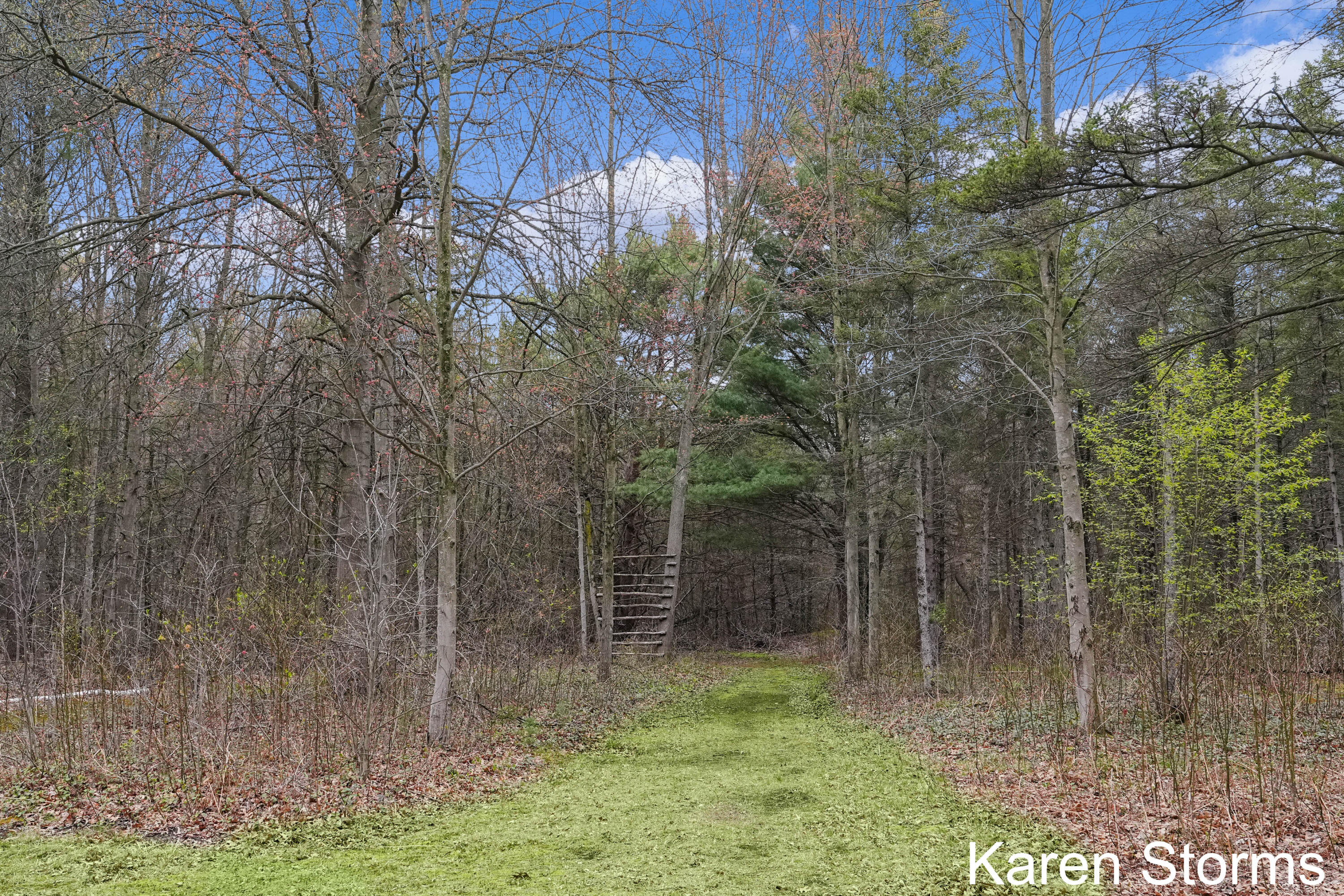3906 East Sternberg Road Fruitport, MI 49415 - Photo 27 of 34 DSC06240