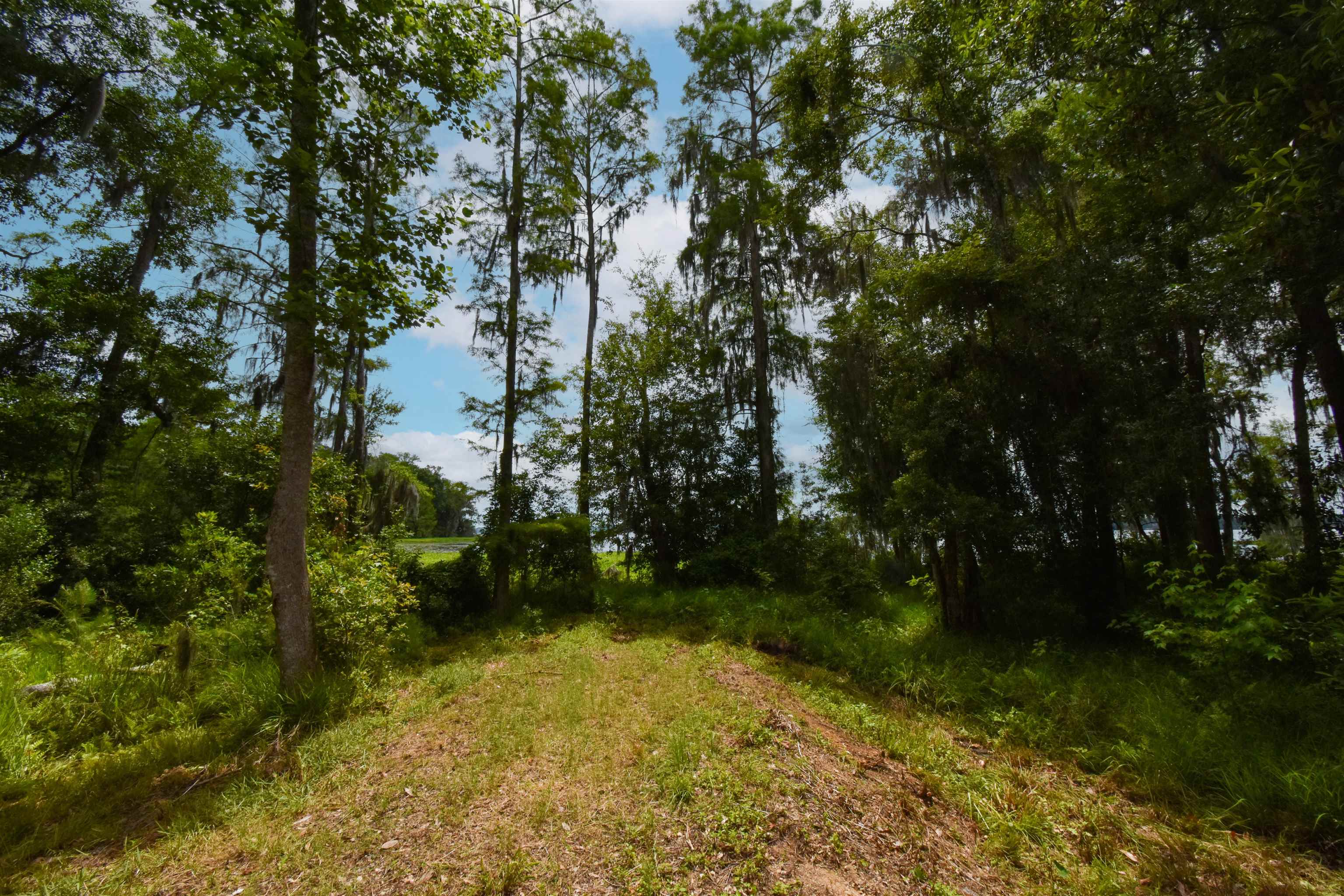 4013 McCall Bridge Road Quincy, FL 32351 - Photo 34 of 37
