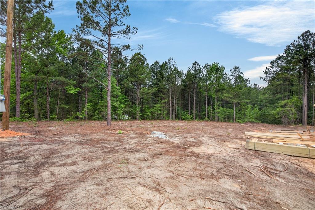 334 Oak Ridge Road Eagle Springs, NC 27242 - Photo 7 of 13
