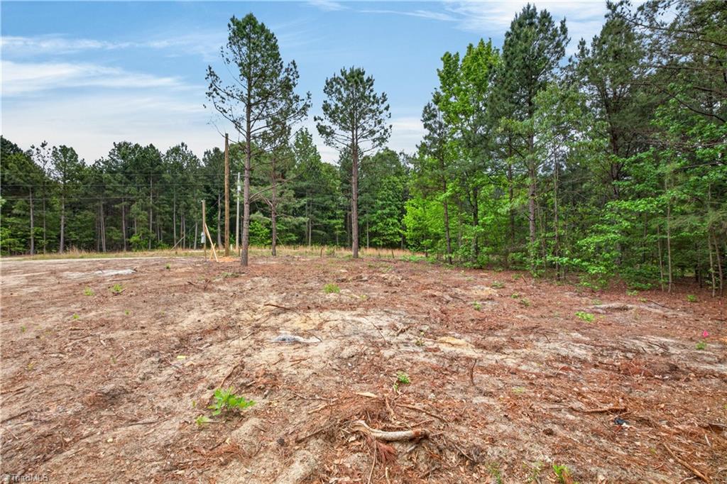 334 Oak Ridge Road Eagle Springs, NC 27242 - Photo 8 of 13