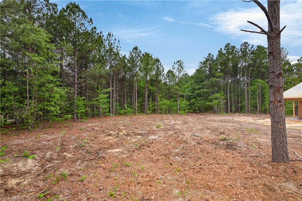 334 Oak Ridge Road Eagle Springs, NC 27242 - Photo 9 of 13