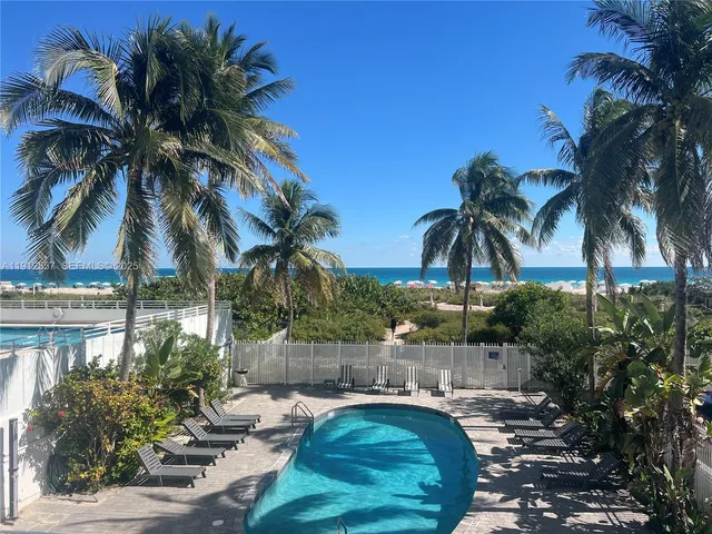 a view of a palm trees