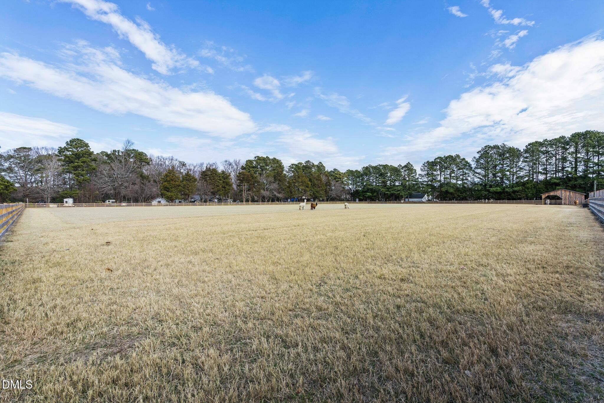 921 Tilghman Road Benson, NC 27504 - Photo 43 of 53 DSC09593