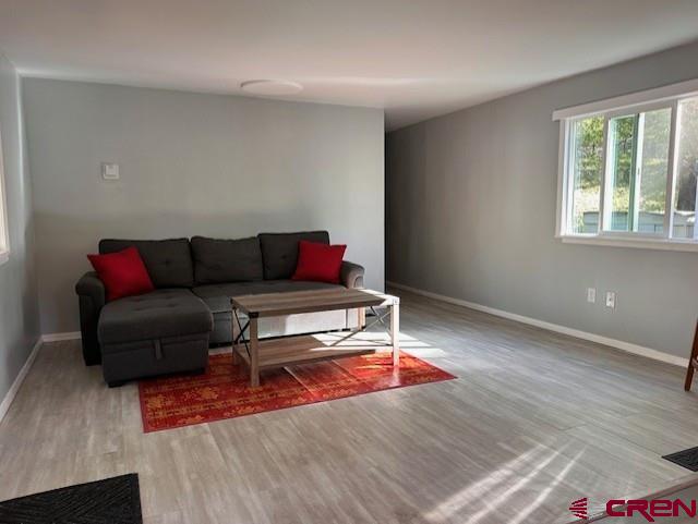 485 Florida Road, Unit D10 Durango, CO 81301 - Photo 12 of 14 a living room with furniture and a rug