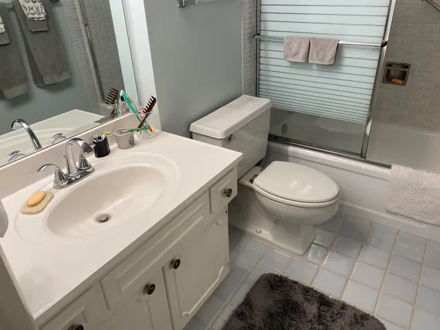 a bathroom with a sink and a toilet