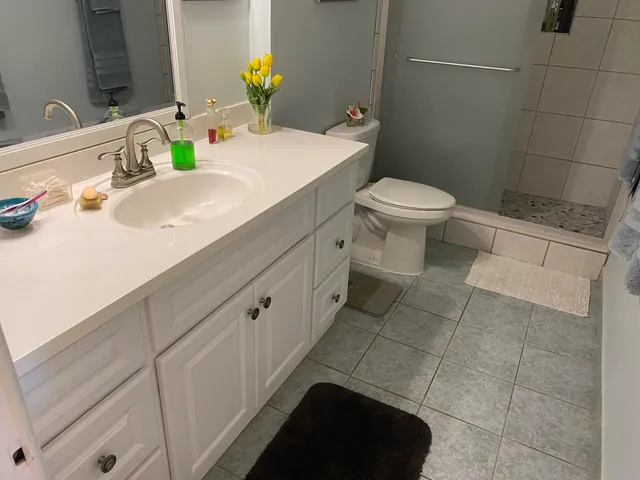 a bathroom with a sink a toilet and mirror