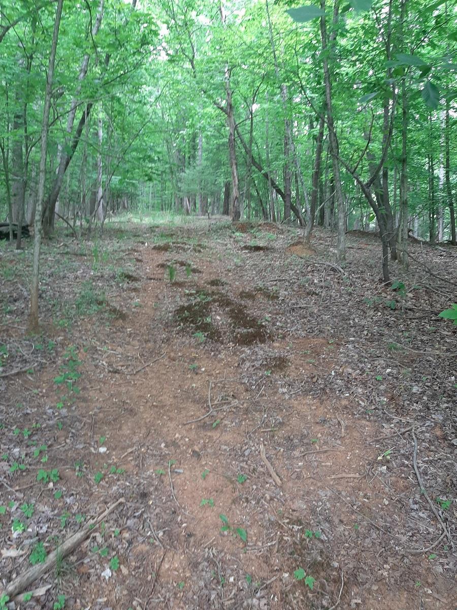 0 Wilson Road Boones Mill, VA 24065 - Photo 1 of 4 lot