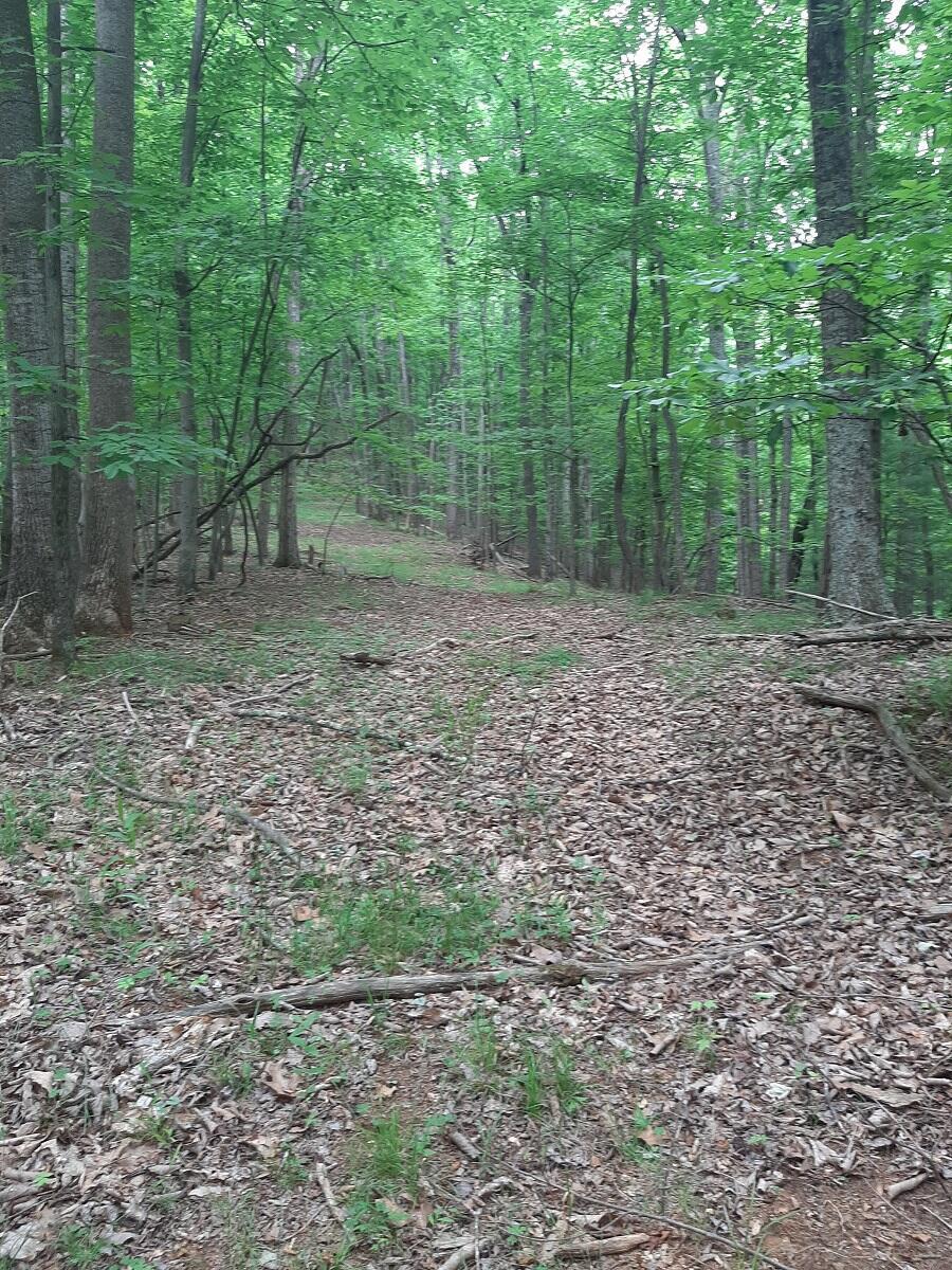 0 Wilson Road Boones Mill, VA 24065 - Photo 3 of 4 20210527144329448521000000-o