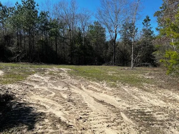 $42,250 | Lot #4 Jessie Stogner Road, Sandy Hook, MS 39478