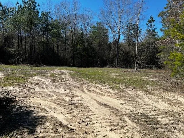 $42,250 | Lot #4 Jessie Stogner Road, Sandy Hook, MS 39478