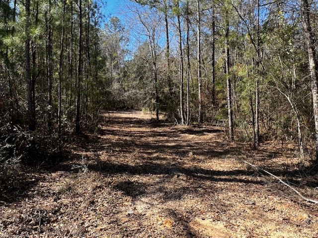 Lot #4 Jessie Stogner Road Sandy Hook, MS 39478 - Photo 2 of 6 Photo 2