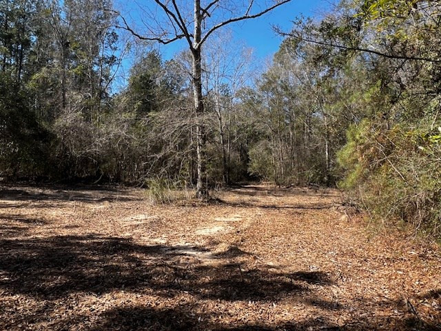 Lot #4 Jessie Stogner Road Sandy Hook, MS 39478 - Photo 3 of 6 Photo 3