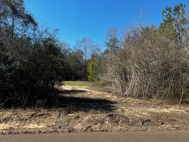 $42,250 | Lot #4 Jessie Stogner Road, Sandy Hook, MS 39478