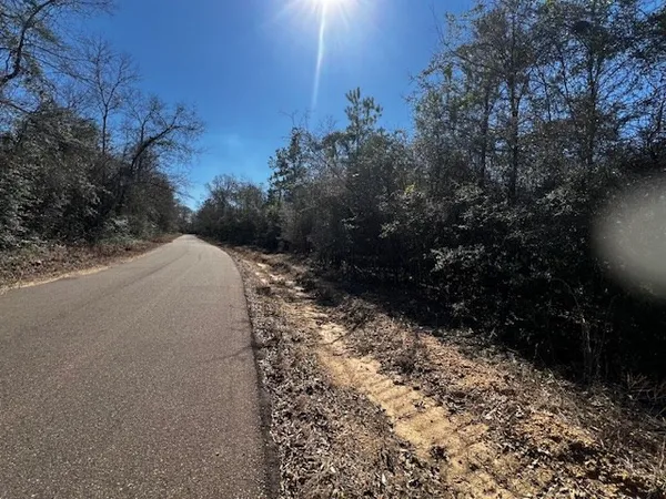 $42,250 | Lot #4 Jessie Stogner Road, Sandy Hook, MS 39478