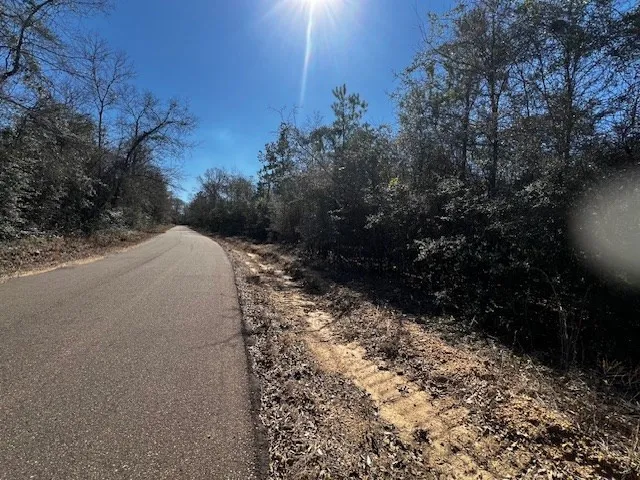 $42,250 | Lot #4 Jessie Stogner Road, Sandy Hook, MS 39478