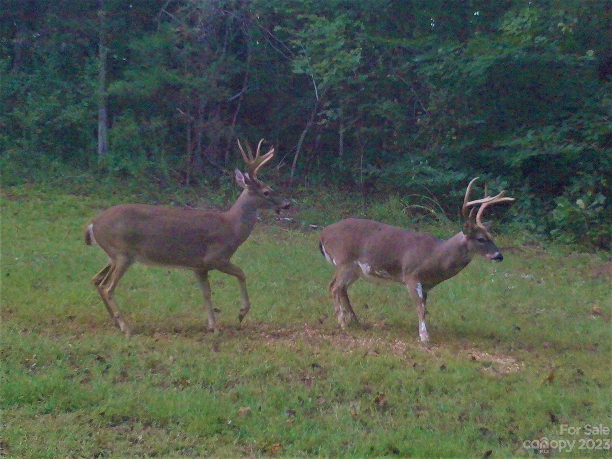 980 Rock Corner Road Forest City, NC 28043 - Photo 16 of 29 Gallery Image 16