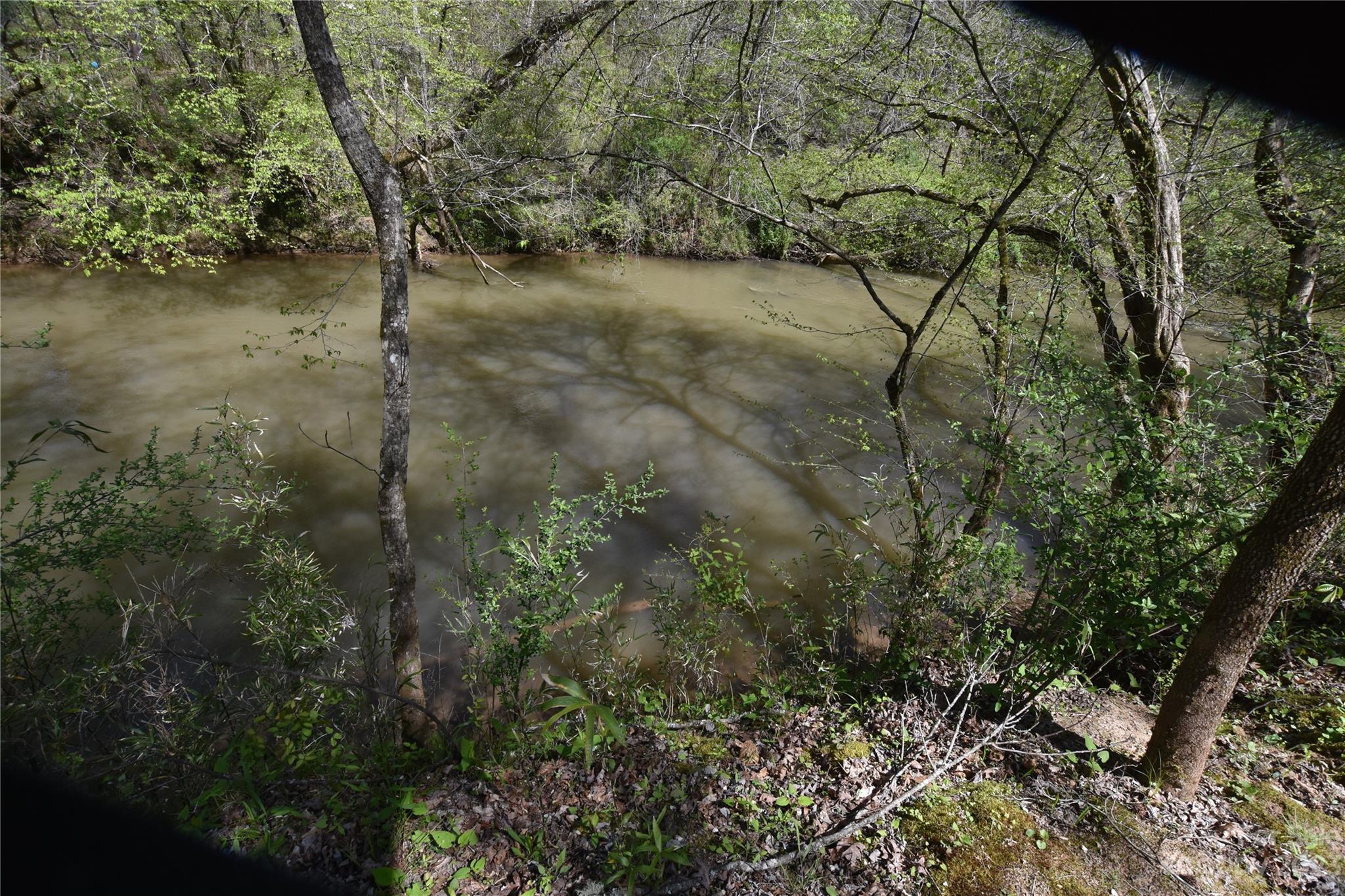 980 Rock Corner Road Forest City, NC 28043 - Photo 23 of 29 Gallery Image 23