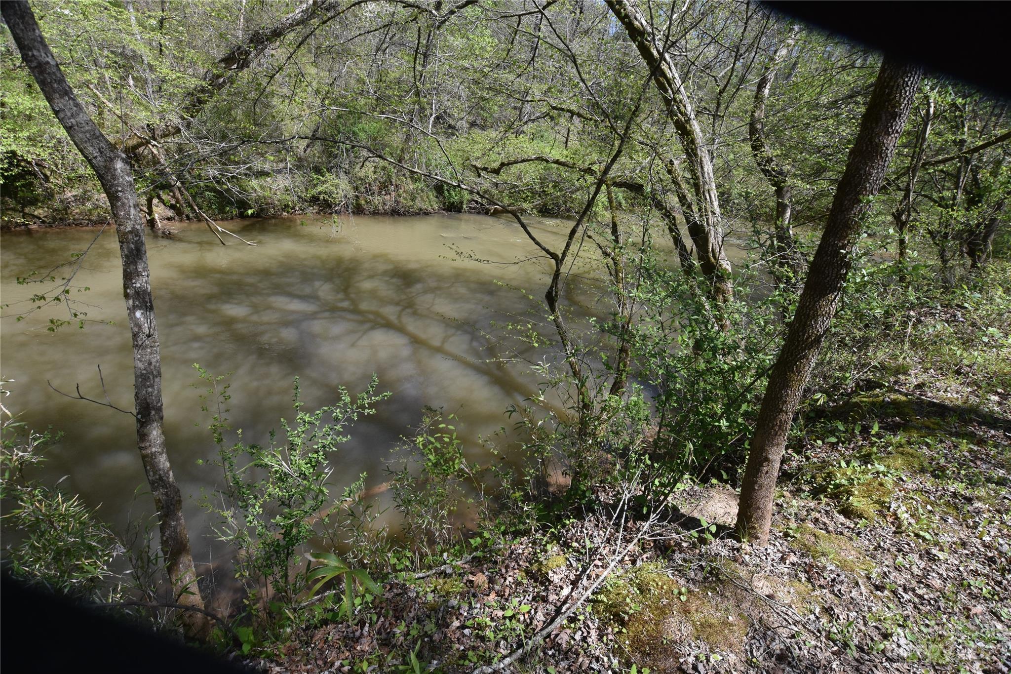 980 Rock Corner Road Forest City, NC 28043 - Photo 28 of 29 Gallery Image 28
