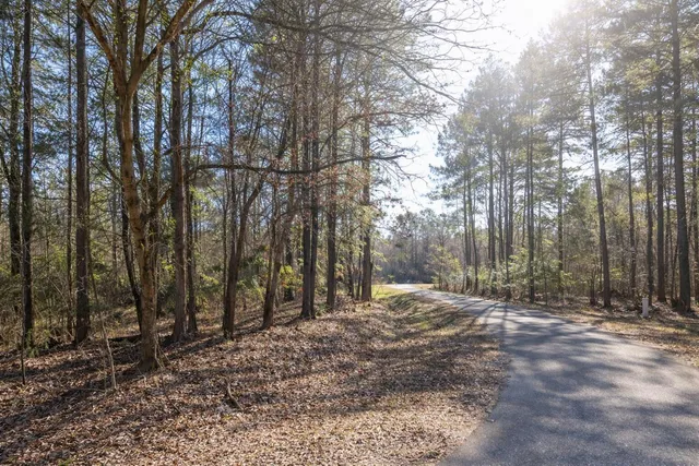 $45,000 | 0 Trinity Church Road, St. Stephen, SC 29479